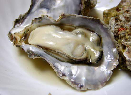 鮮活水產(chǎn)類：甲魚