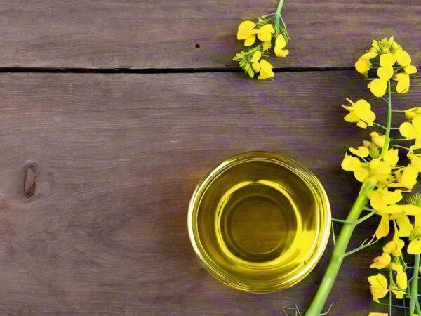 1760353003.jpg 20240427caiziyou.jpg